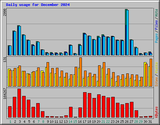 Daily usage for December 2024