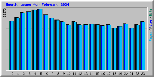 Hourly usage for February 2024