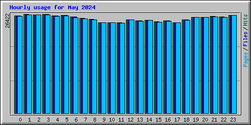 Hourly usage for May 2024