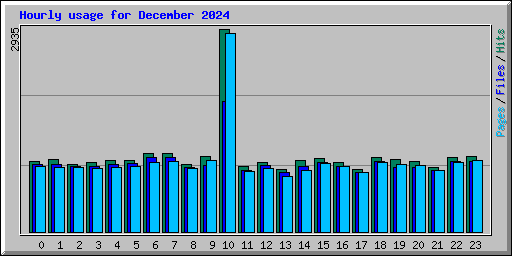 Hourly usage for December 2024