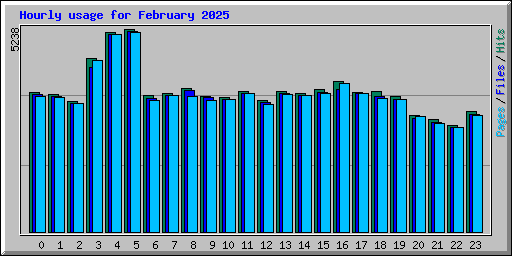 Hourly usage for February 2025