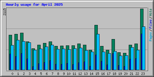 Hourly usage for April 2025