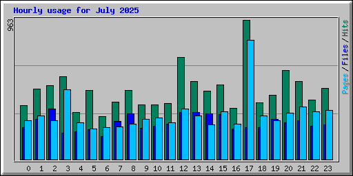 Hourly usage for July 2025