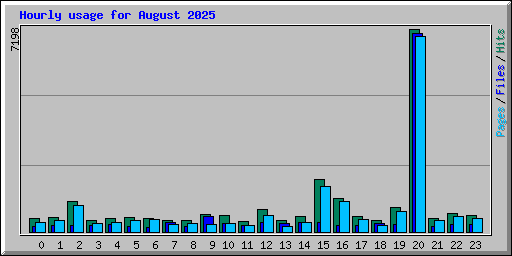 Hourly usage for August 2025
