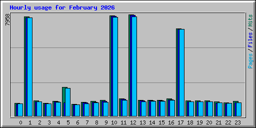 Hourly usage for February 2026